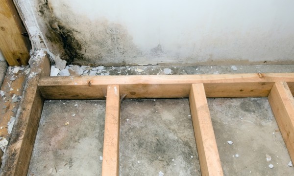 What to do when your basement floor is damp