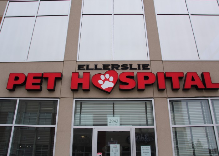 Ellerslie Pet Hospital Ltd Edmonton Business Story