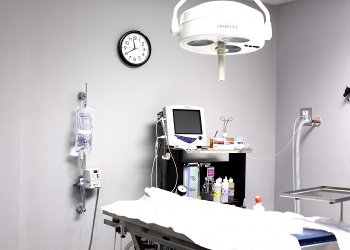 Ellerslie Pet Hospital Ltd Edmonton Business Story