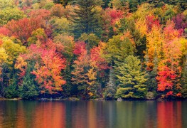 Where to see the best fall foliage in Canada