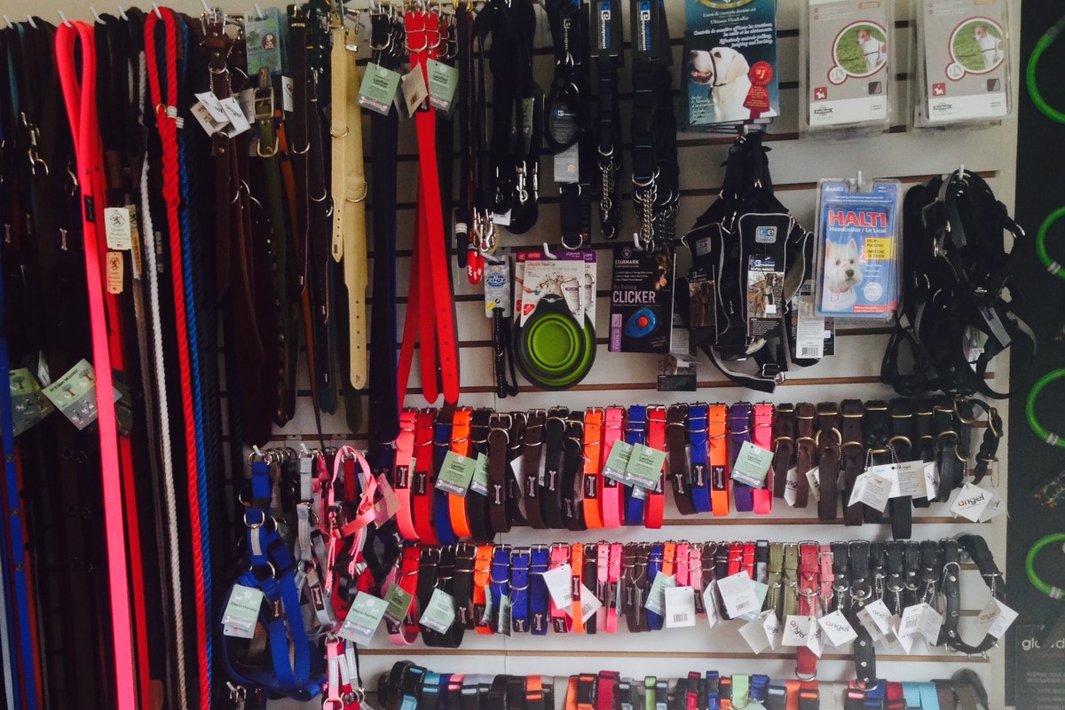 The Dog Bowl Toronto Business Story