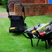 Gardening basics: which hand tools do you need?