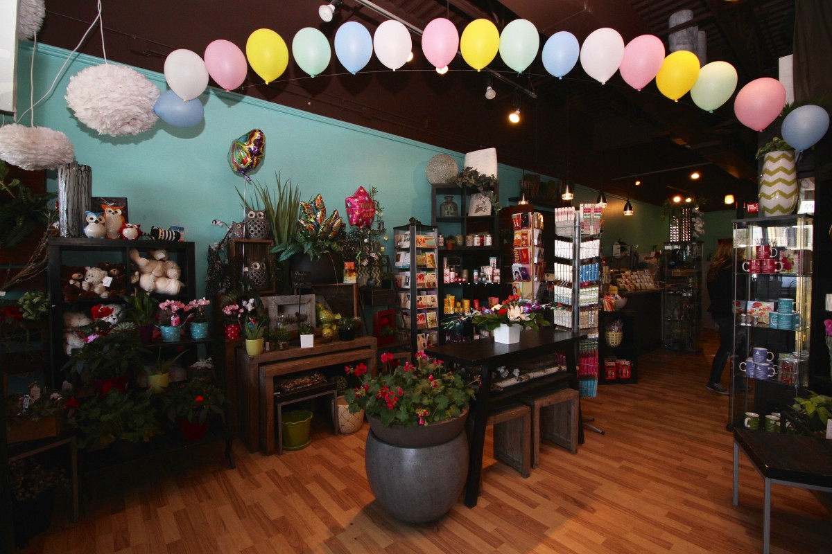 Hypnotic Bloom Florist Edmonton Business Story