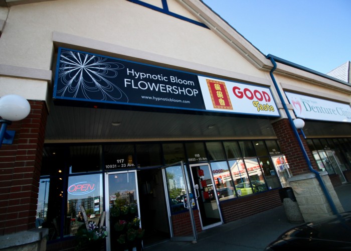 Hypnotic Bloom Florist Edmonton Business Story