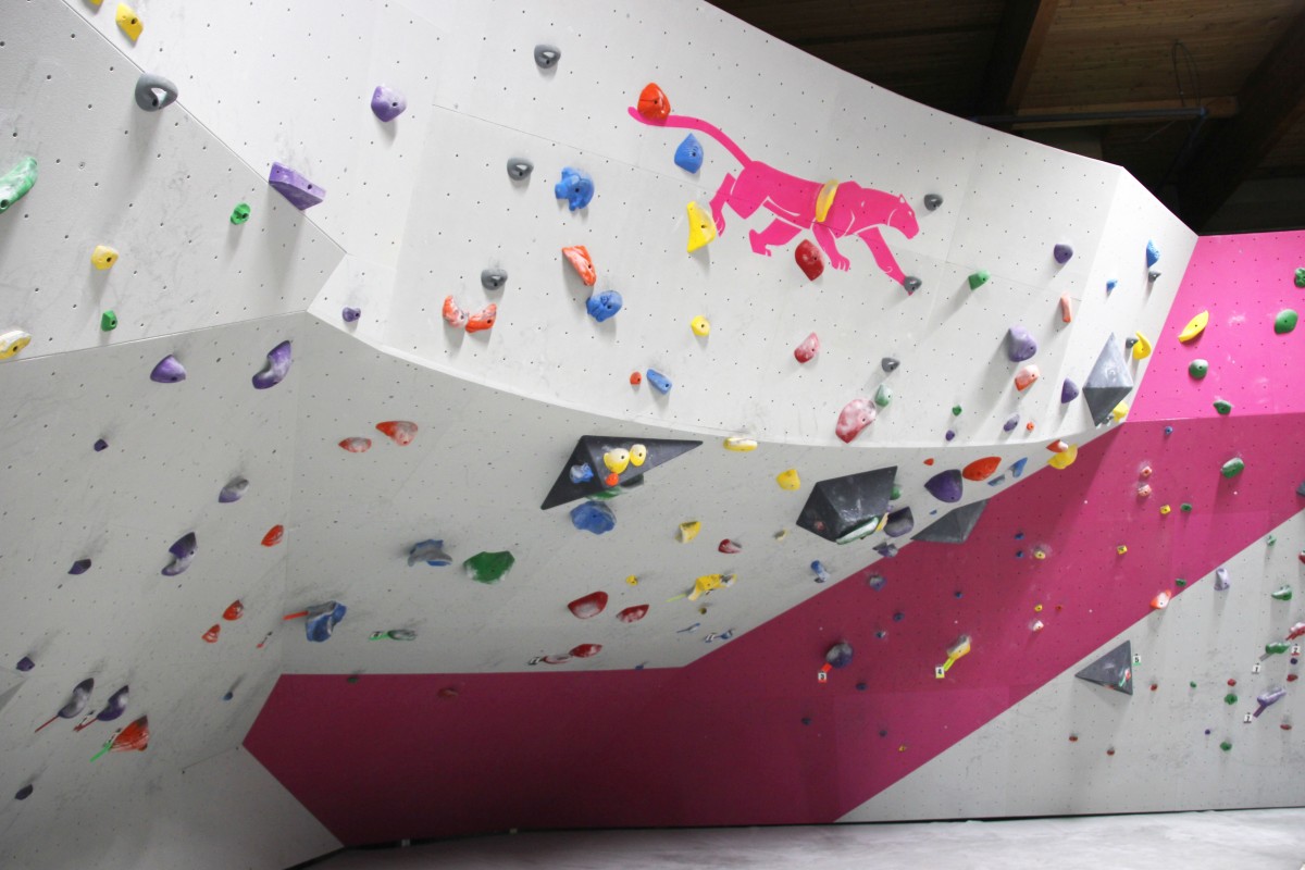 Rock Jungle Boulders Edmonton Business Story