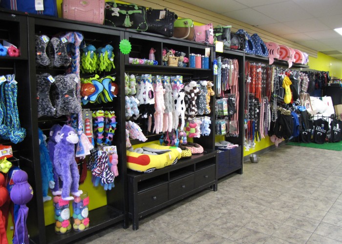 Doggy Style Deli Edmonton Business Story