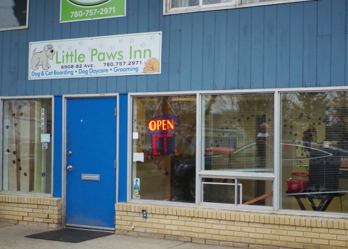 Little Paws Inn Edmonton Business Story