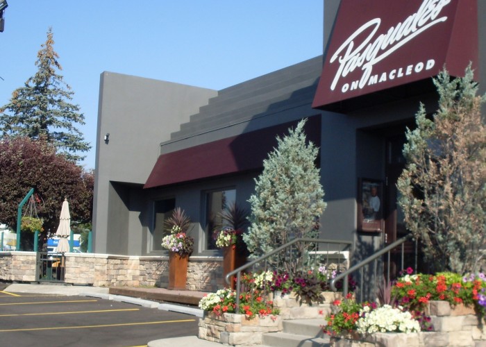 Pasquales on Macleod Calgary Business Story