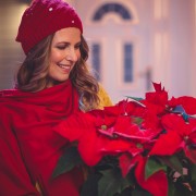 A handy guide for buying Christmas flowers