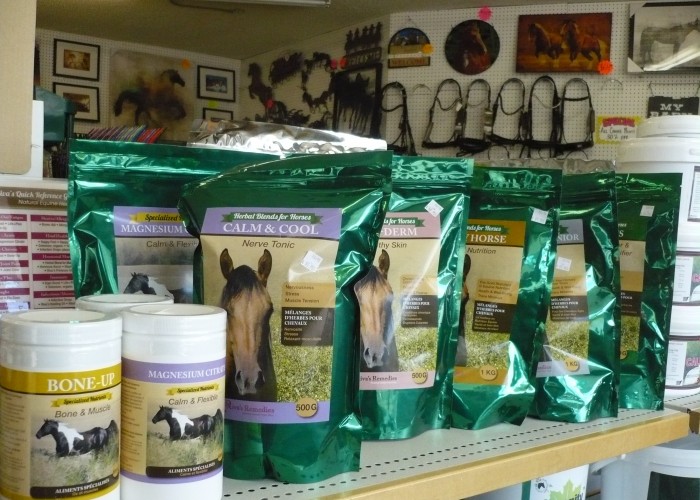 The Horse Store Calgary Business Story