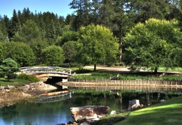 7 trips to go on in the Edmonton area in 2018