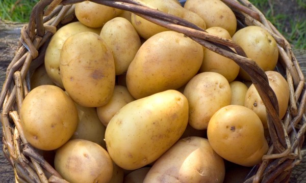 A healthy way to use super foods