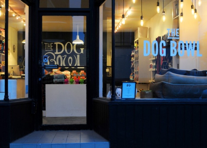 The Dog Bowl Toronto Business Story