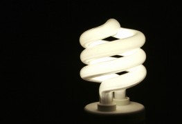Save energy, money and the environment with the right lighbulbs