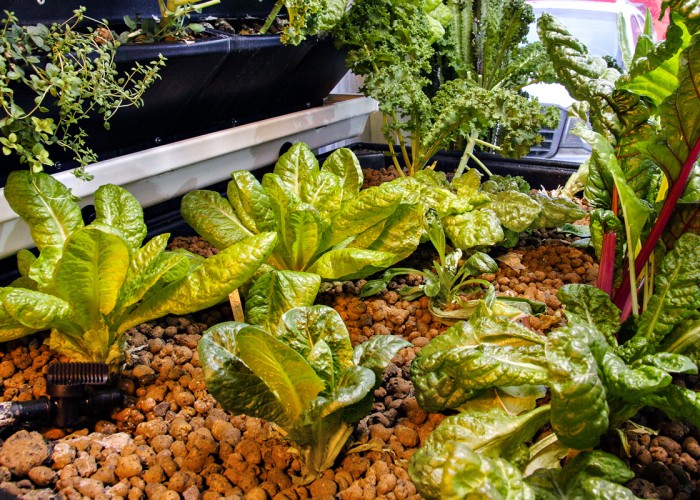 Incredigrow Garden Centre Calgary Business Story