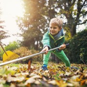 12 ways to prep your garden for winter