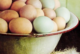 How to prepare farm-fresh eggs for Easter