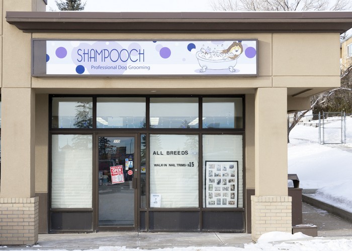 Shampooch Grooming Calgary Business Story