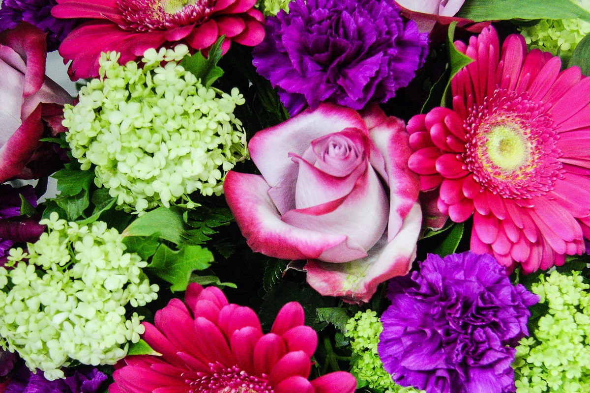 The Tree House Flower Shop Calgary Business Story