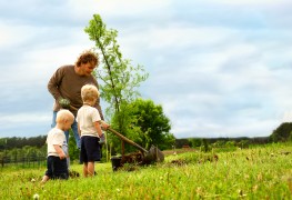 3 places to find volunteer opportunities