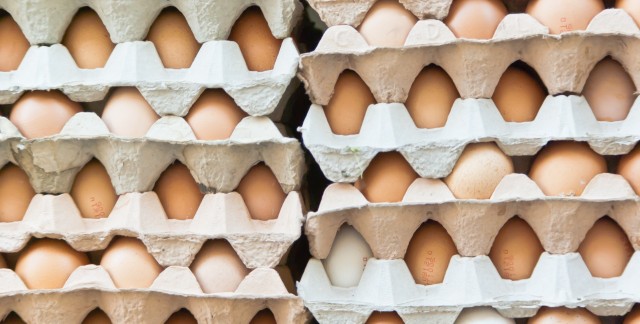 Étiquetage: 5 attributs des oeufs et 5 pièges des additifs alimentaires