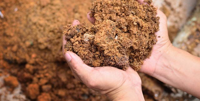 Quelques avantages du compost fait maison