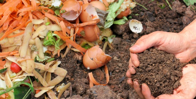 Conseils pour composter les restes de cuisine