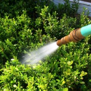 3 moyens faciles d'économiser de l'eau dans le jardin