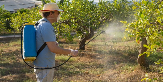 Évitez les produits chimiques courants dans vos aliments préférés