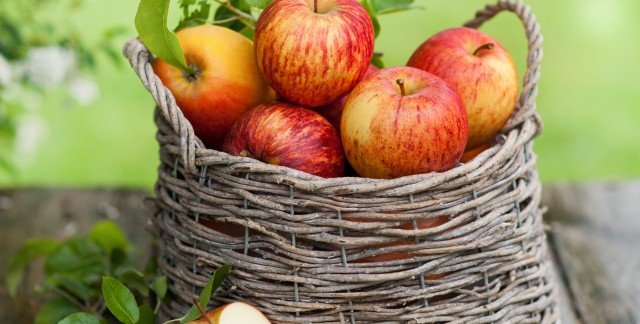 9 variétés répandues de pommes et leurs utilisations