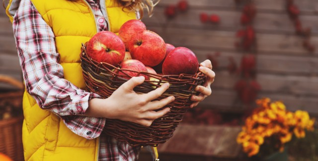 7 idées créatives et délicieuses à préparer avec des pommes