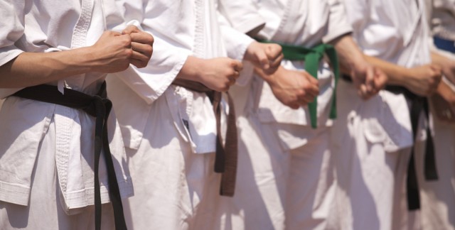Tout savoir sur le karaté