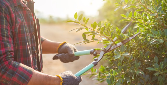 14 outils de jardin essentiels que tout jardinier devrait avoir