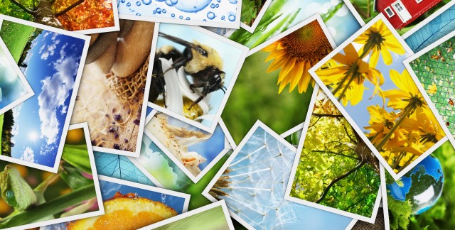Tout ce qu'il faut savoir sur le stockage de photos
