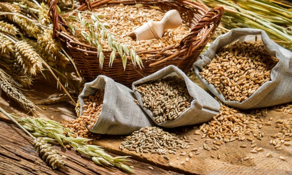 2 recettes de grains entiers pour combattre les maladies